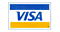 VISA Microgaming Kasinos visa
